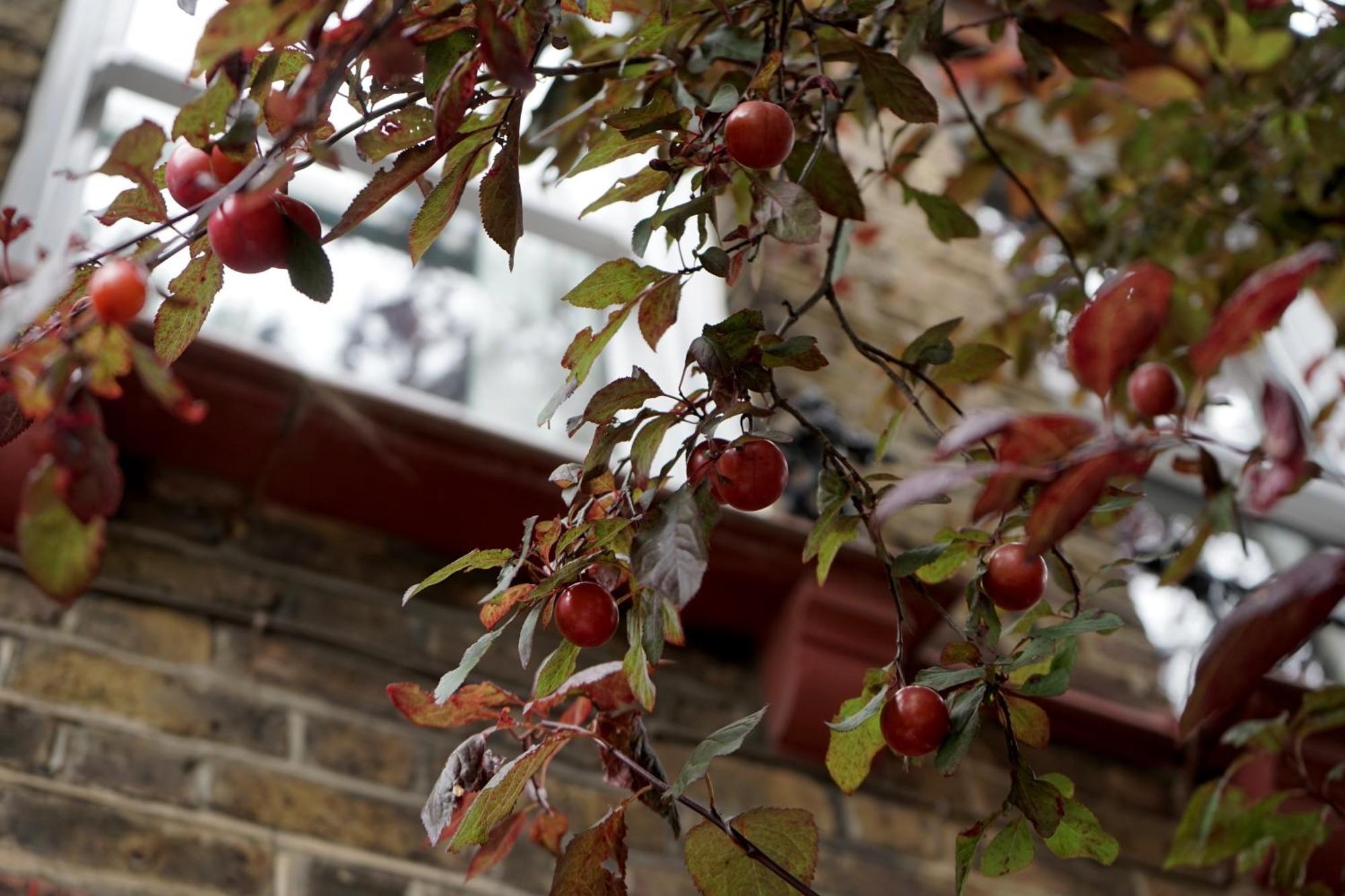 Beautiful London Home Sleeps 6, 2 Minutes To Metro Экстерьер фото